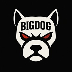 DJ BIGDOG