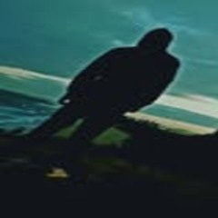 𝖏𝖆𝖞 𝖉𝖊𝖊