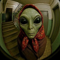 El hadja👽