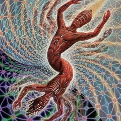 EsEnCiA iNtErGaLaCtIcA ☼