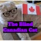 TheBlindCanadianCat