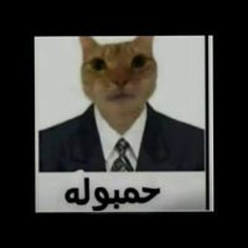 Omar Wahba’s avatar