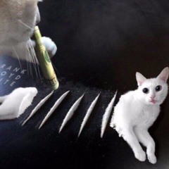 кавайная шлюха
