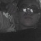 Lilback