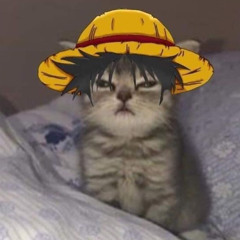 WARIZINHIM❤️‍🔥