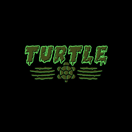 Turtle’s avatar