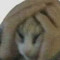Vall