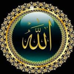 Islam Mohamed