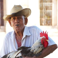 Luis Juan Rio Fernandinho
