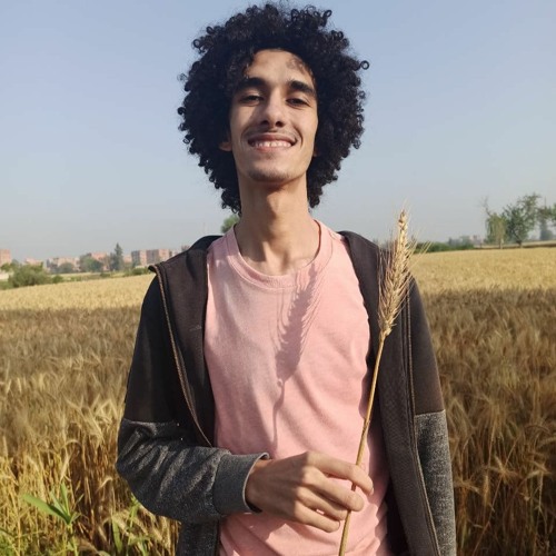 Mahmoud maher’s avatar