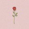 menna 34th gfgjkhhuigfduoyt78998654&+97&&++88+7777