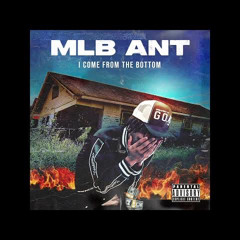 MLB ANT