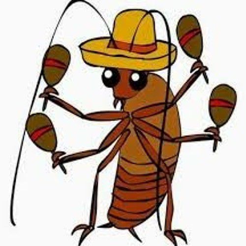 La Cucaracha’s avatar