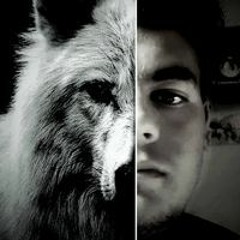Mostafa Badr