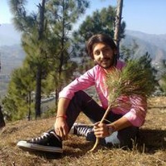 Raja Taimoor Khan