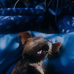 Kevin Alexandru Militaru