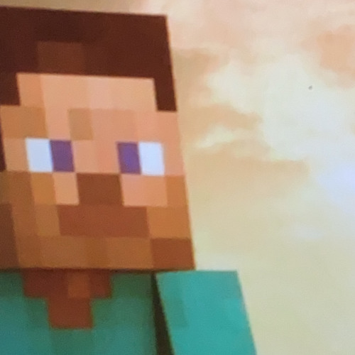 Minecraft Steve’s avatar