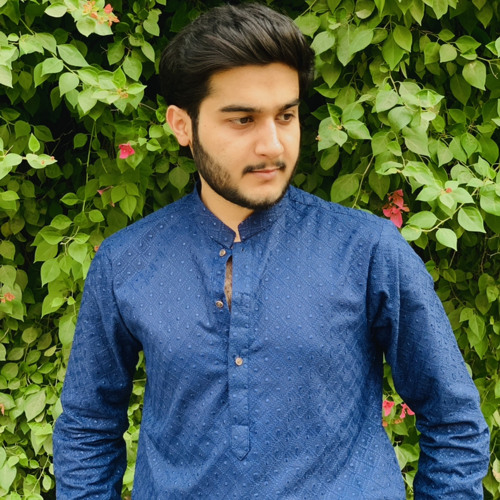 Shahzaib pirzada’s avatar