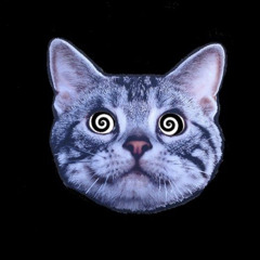 H@IL3Y