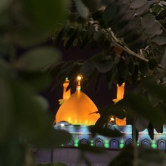 al4ll.a