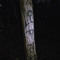 Trenton 04