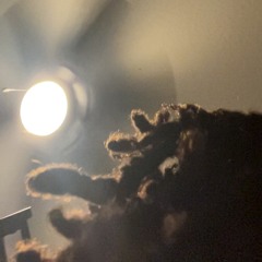 augxstt
