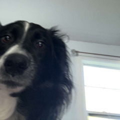 aidan