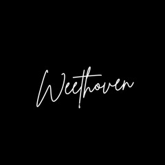 💔 Weethoven 💔