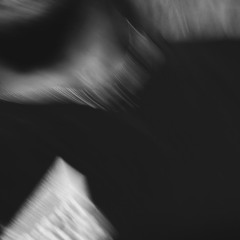 No Tiger