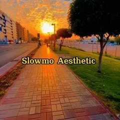 SlowMo Aesthetic