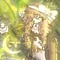 ★ Ñashatra ★