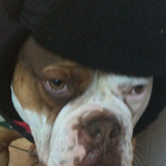 ROCKII