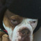 ROCKII