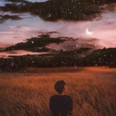 Tasneem Tamer