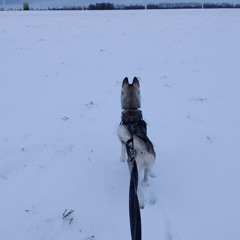 Amelie     🫶🫶🫶🫶