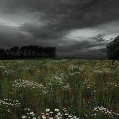 姉の現実逃避２