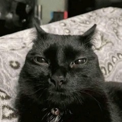 Freak bob