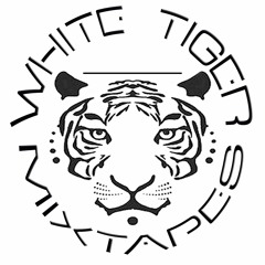 White Tiger Interactive Mix Tapes Vol. 2