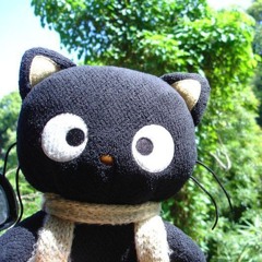 Shima#7