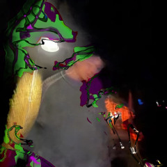 chameleonboy