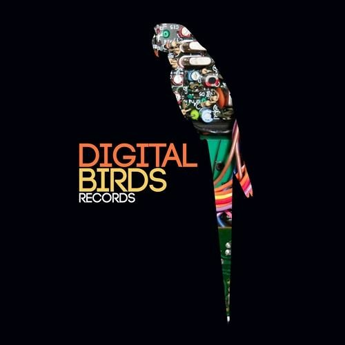 Digital Birds records’s avatar