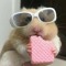 chipxinh