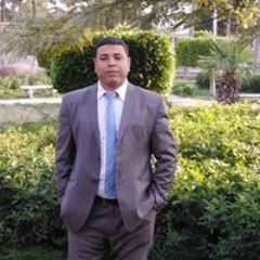 محمد حسن البحيري