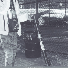 NEW YORK FLEEZUS