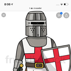 Noble crusader
