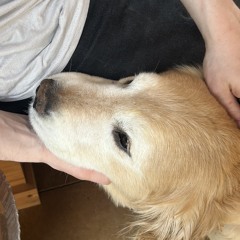 I Should’ve Been There