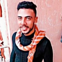 محمد هاشم الجن