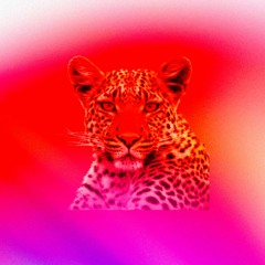 Leopard Prince