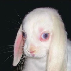 iiiiicantihavegolfafterchurch