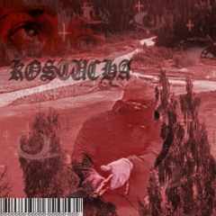 MANIC SOLDIERS